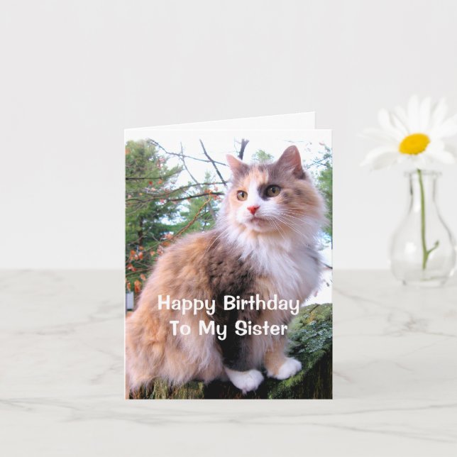 Tarjeta Cumpleaños de la hermana gato calico (Planta pequeña)