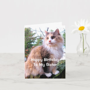 Tarjeta Cumpleaños de la hermana gato calico