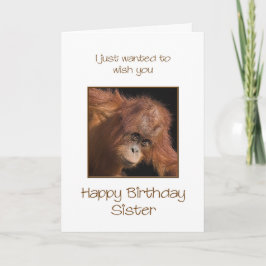 Tarjeta Cumpleaños de la hermana, Orang Utan