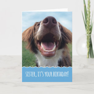 Tarjeta Cumpleaños de la hermana, perro feliz con gran son