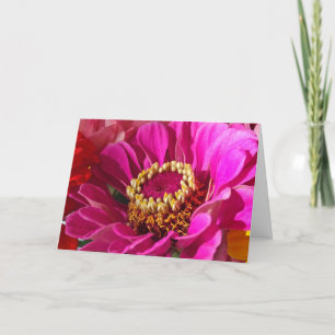 Tarjeta Cumpleaños de la hija con flor de zinnia rosa
