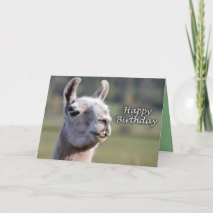 Tarjeta Cumpleaños de la llama de la llama el   del feliz