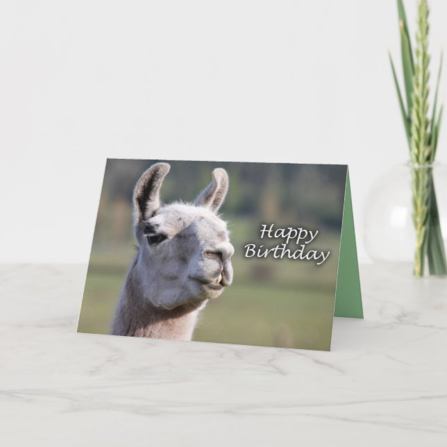 Tarjeta Cumpleaños de la llama de la llama el | del feliz (Anverso)