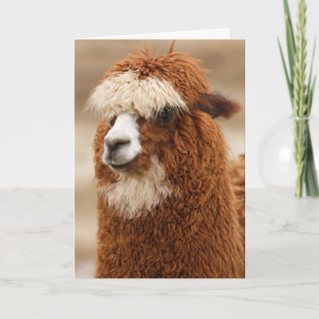 Tarjeta Cumpleaños de la llamada divertida (Anverso)