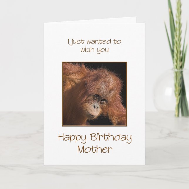 Tarjeta Cumpleaños de la Madre, Orang Utan (Anverso)