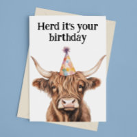 Cumpleaños de la manada de vacas de las Highlands