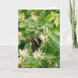 Tarjeta Cumpleaños de la mariposa