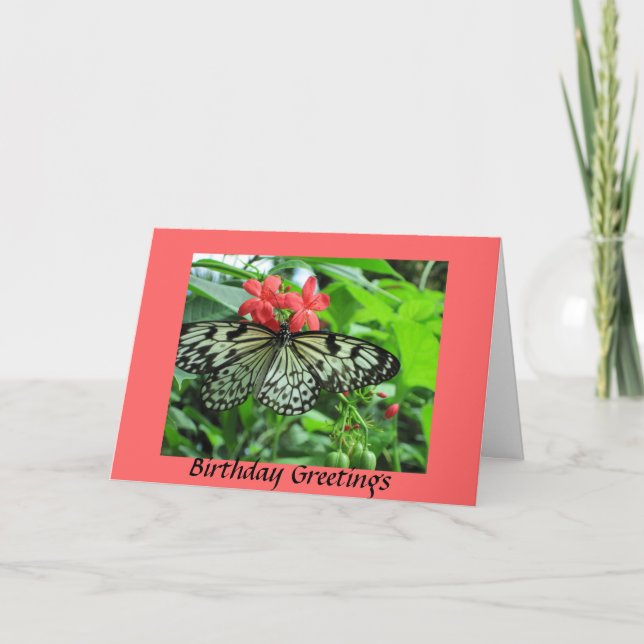 Tarjeta Cumpleaños de la mariposa (Anverso)