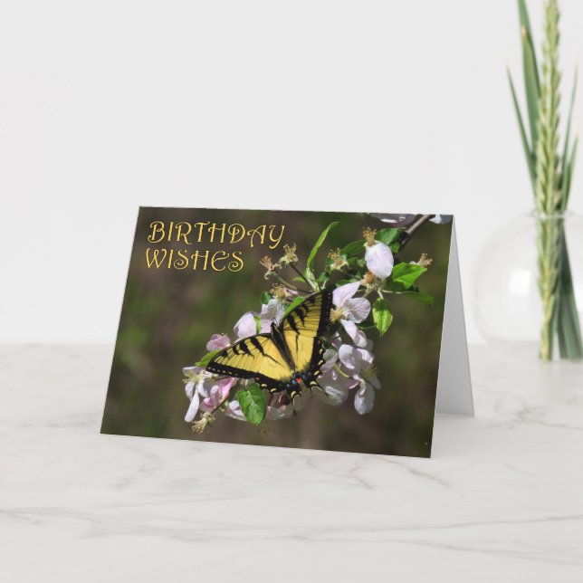 Tarjeta Cumpleaños de la mariposa 1 (Anverso)