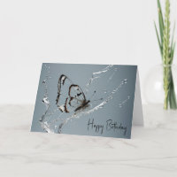 Cumpleaños de la mariposa de limpieza