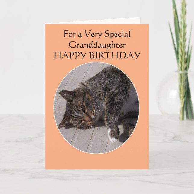 Tarjeta Cumpleaños de la Nieta Personalizada del Gato Tabb (Anverso)