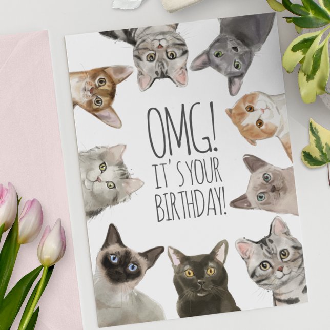 Tarjeta Cumpleaños de la Señora del Gato | ¡Dios mío! Es d (Subido por el creador)
