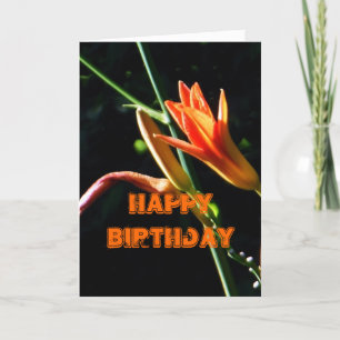 Tarjeta Cumpleaños de los Daylilies de Crayola feliz