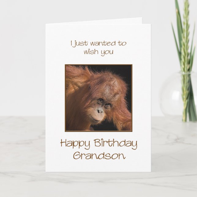 Tarjeta Cumpleaños de los nietos, Orang Utan (Anverso)