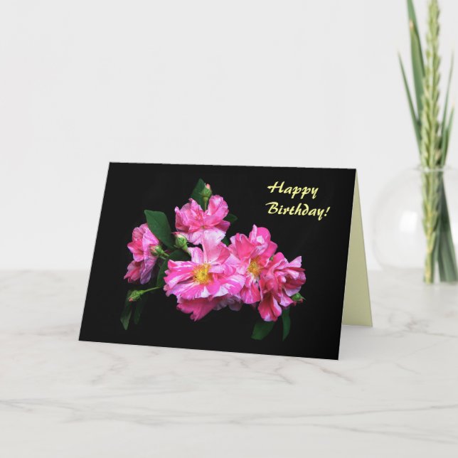 Tarjeta Cumpleaños de los Rosas a rayas (Anverso)