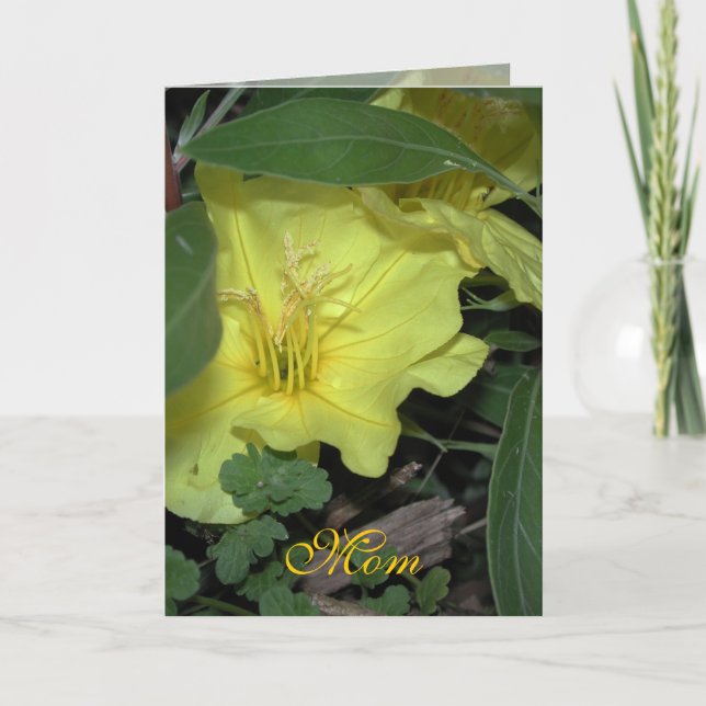 Tarjeta Cumpleaños de mamá (Anverso)