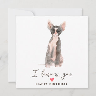 Tarjeta Cumpleaños de mascotas de gato esfinge gris rosa m