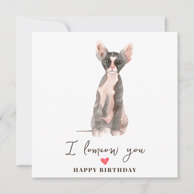 Tarjeta Cumpleaños de mascotas de gato esfinge gris rosa m (Anverso)