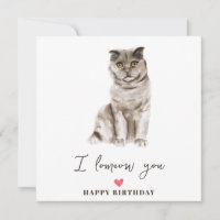 Cumpleaños de mascotas gatito gris Scottish Fold m