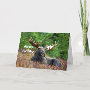 Tarjeta Cumpleaños de Moose