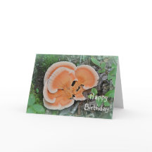 Cumpleaños de Mushroom Forager