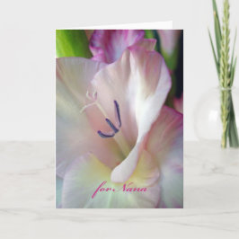 Tarjeta Cumpleaños de Nana, Gladiolus Rosado, Foto Macro