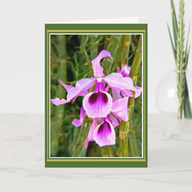 Tarjeta Cumpleaños de orquídea (Anverso)