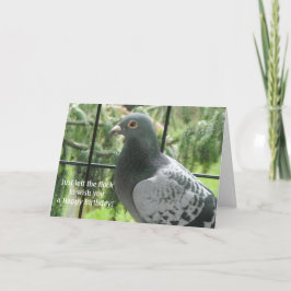 Tarjeta Cumpleaños de paloma genial