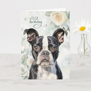 Tarjeta Cumpleaños de perro Boston Terrier con rosas blanc