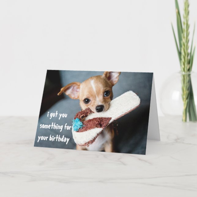 Tarjeta Cumpleaños de Perro Chihuahua Cachorro Adorable de (Anverso)
