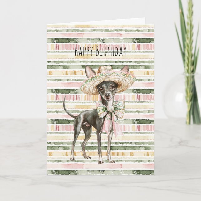 Tarjeta Cumpleaños de perro Chihuahua de rayas rosadas ver (Anverso)