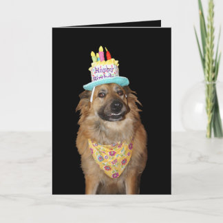 Tarjeta Cumpleaños de perro lindo de pastor mestizo