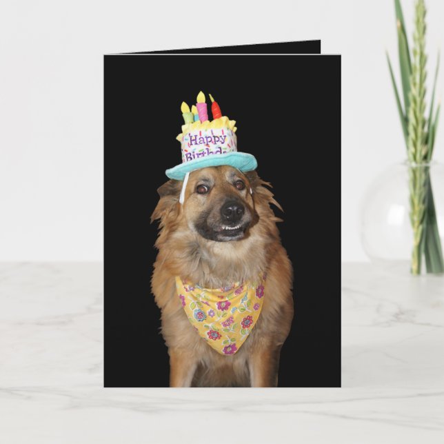 Tarjeta Cumpleaños de perro mestizo de pastor lindo (Anverso)