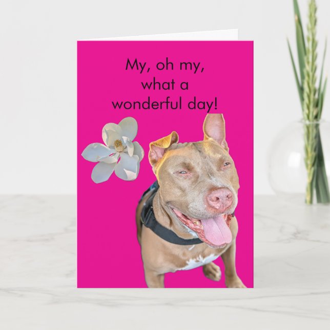 Tarjeta Cumpleaños de Pit Bull sonriente (Anverso)