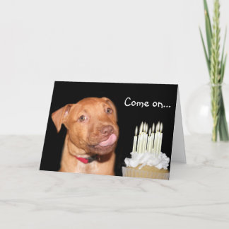 Tarjeta cumpleaños de Pitbull