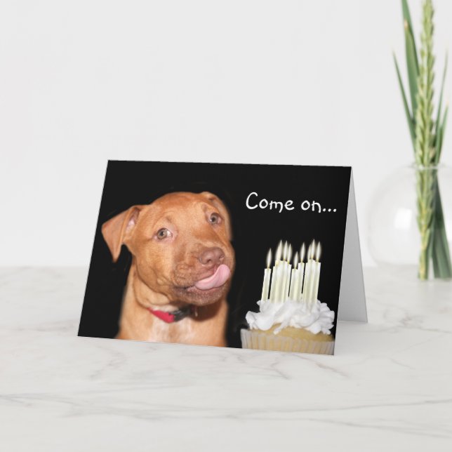 Tarjeta cumpleaños de Pitbull (Anverso)