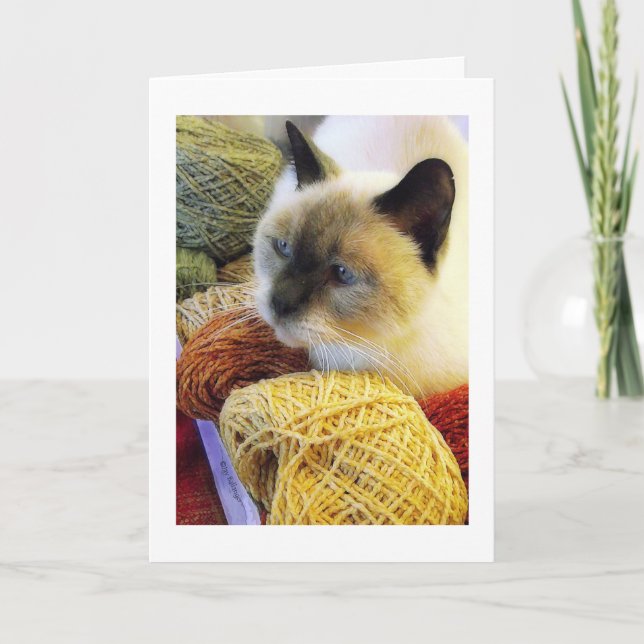 Tarjeta Cumpleaños de Purrfect, gato siamés en hilado (Anverso)