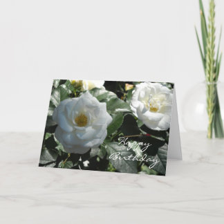 Tarjeta Cumpleaños de Rosa Blanca Elegante