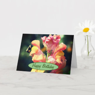 Tarjeta Cumpleaños De Snapdragon Y Bumble Bee