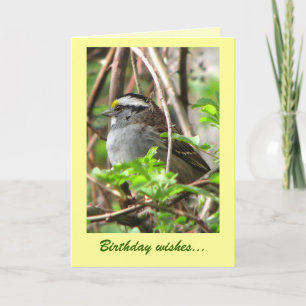 Tarjeta Cumpleaños de Sweet Sparrow
