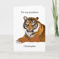 Cumpleaños de Tiger