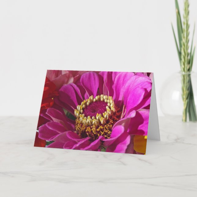 Tarjeta Cumpleaños de una sobrina con flor de zinnia rosa (Anverso)
