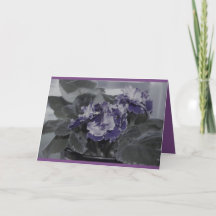 Cumpleaños de Violencia Africana