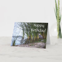 Cumpleaños del animal de la fauna del pájaro de la
