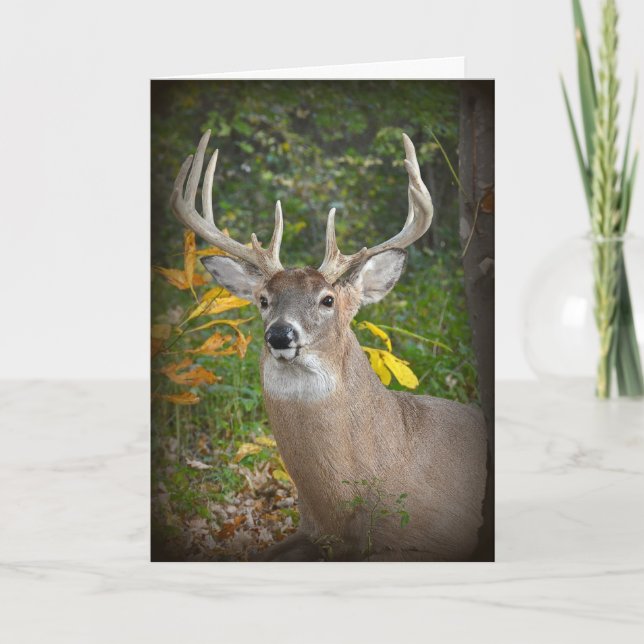 Tarjeta Cumpleaños del Big Buck (Anverso)