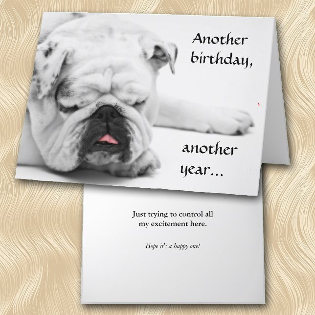 Tarjeta Cumpleaños del Bulldog Blanco divertido (Subido por el creador)