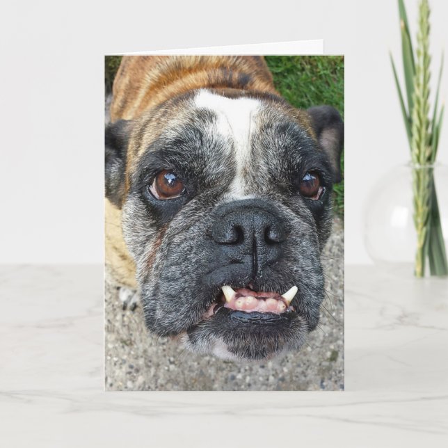 Tarjeta Cumpleaños del Bulldog Inglés (Anverso)