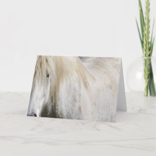 Tarjeta Cumpleaños del caballo blanco