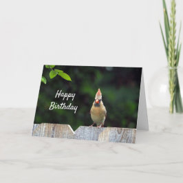 Tarjeta Cumpleaños del Cardenal Rojo de Vida Silvestre