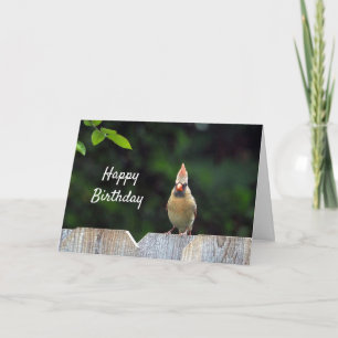 Tarjeta Cumpleaños del Cardenal Rojo de Vida Silvestre